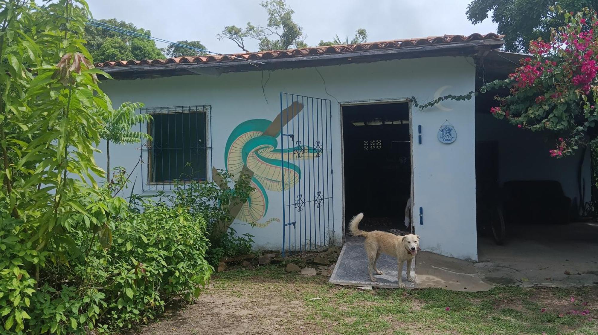 Eco Hostel Lunar ซูรี ภายนอก รูปภาพ