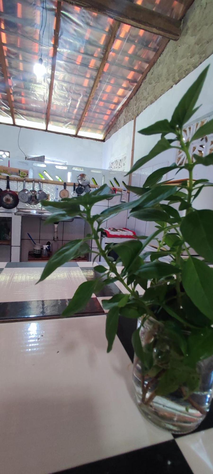 Eco Hostel Lunar ซูรี ภายนอก รูปภาพ