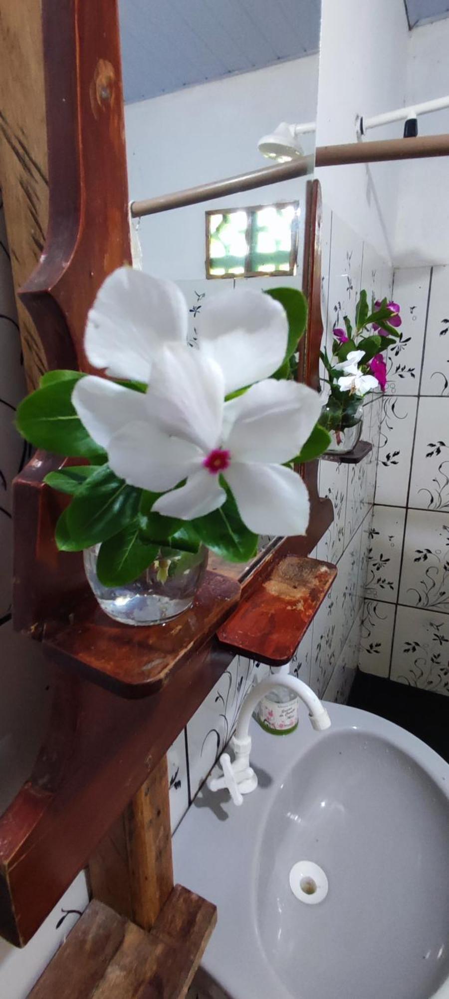 Eco Hostel Lunar ซูรี ภายนอก รูปภาพ